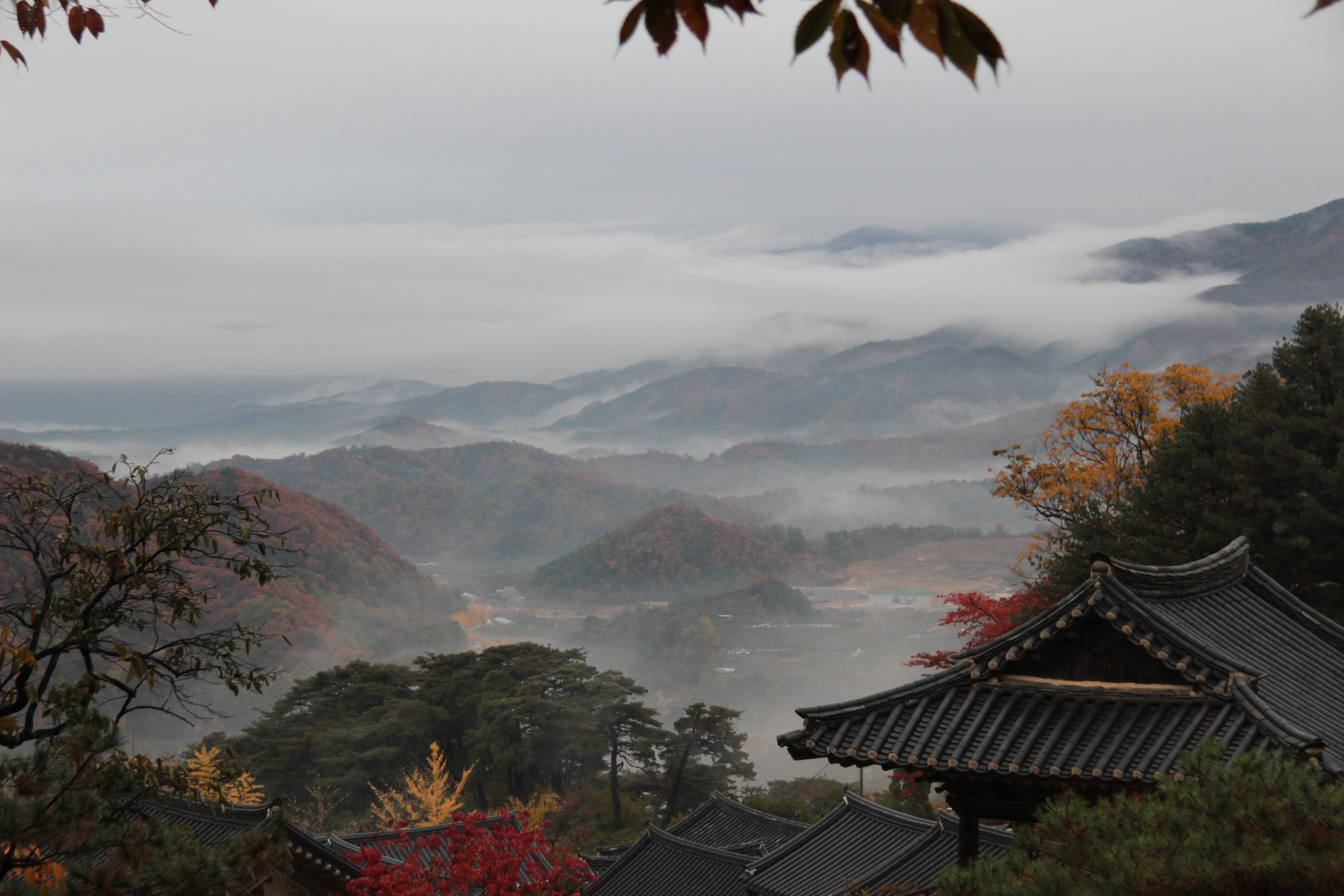 Hyun-Woo Kim, FINALIST