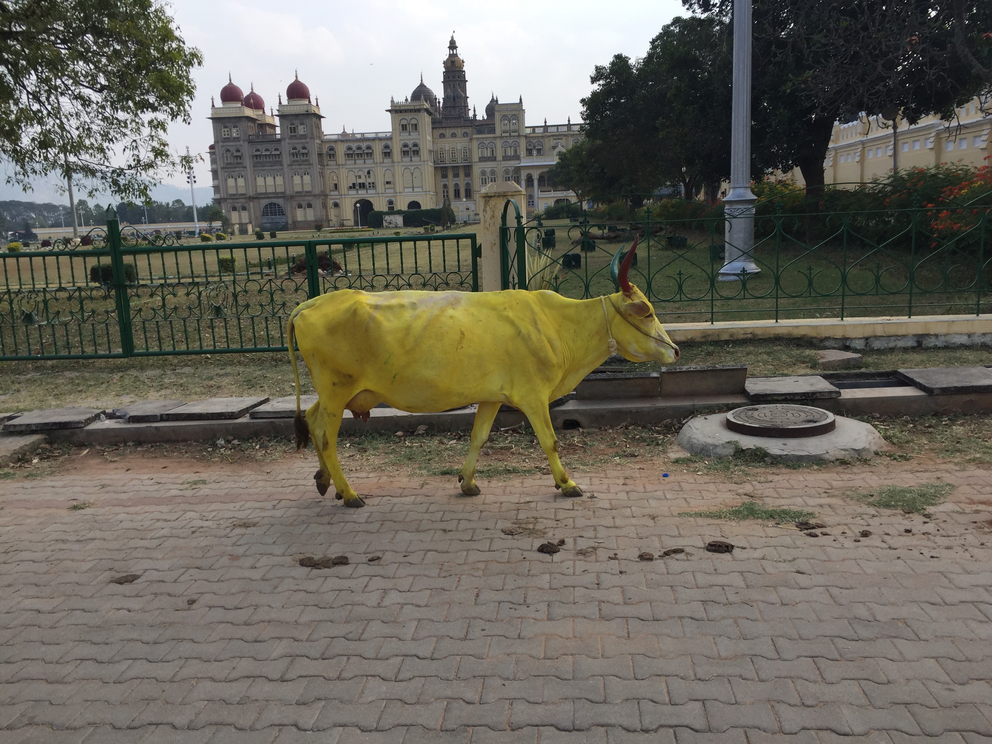 Lakshmi Ravi Narayan