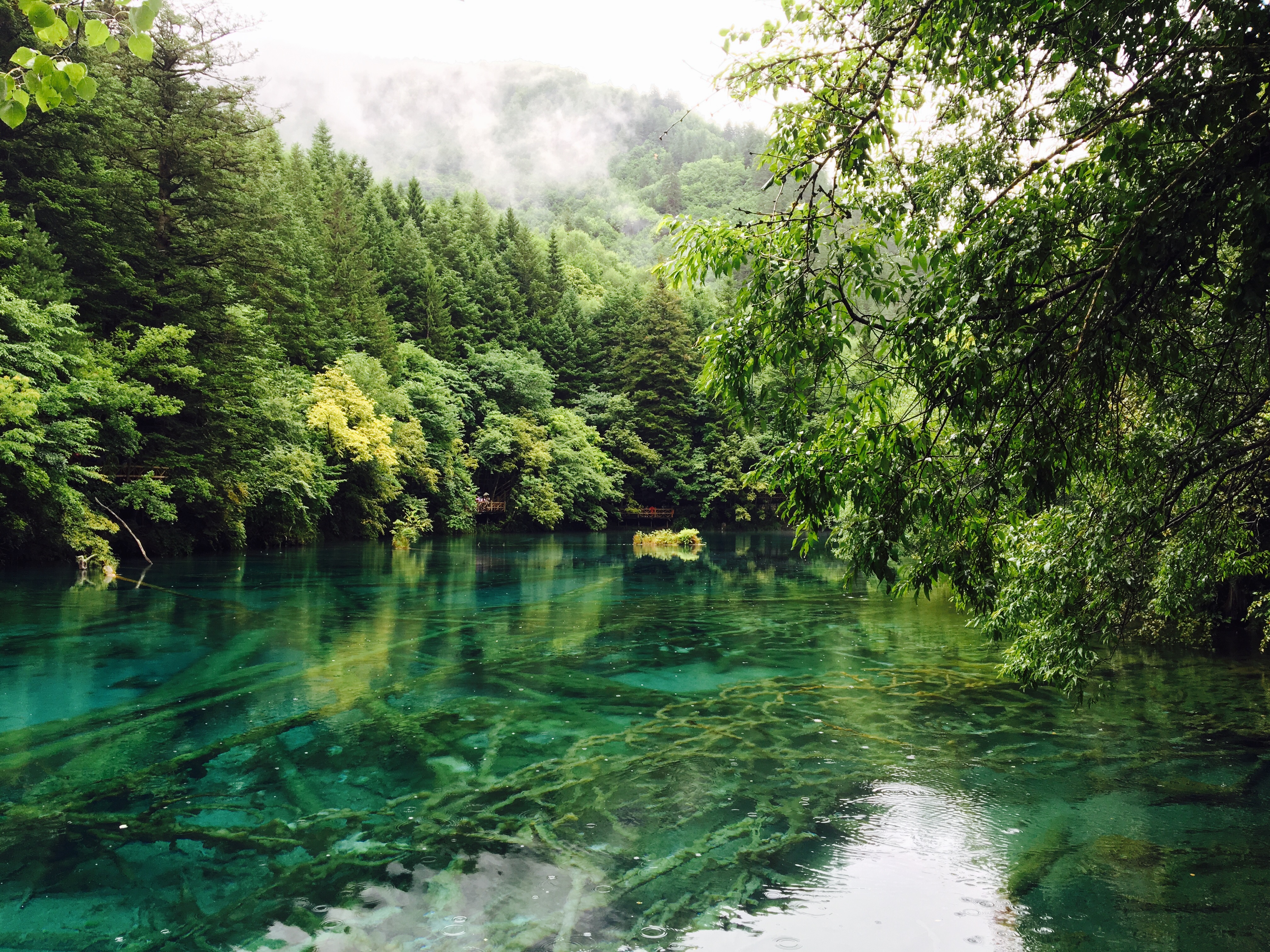 Zeqing Shao, FINALIST